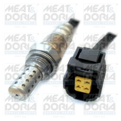 Oxygen Sensor